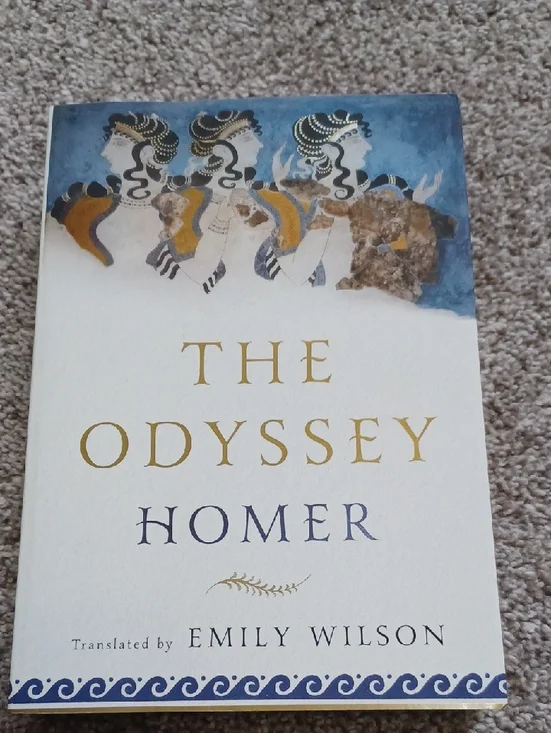 The Odyssey by Homer - Emily Wilson Translation - Picture 1 of 1